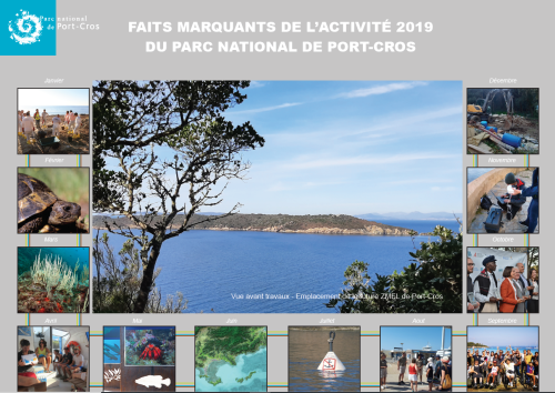 img_rapport_activites.png