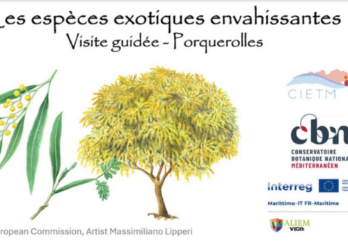 Nature walk on the island of Porquerolles_Hyères