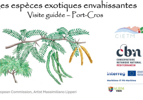 Nature walk Port-Cros: Var treasures under threat_Hyères