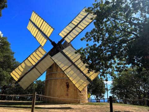 Moulin de Paillas - Moulin de Paillas