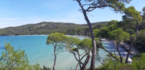 Image - Porquerolles