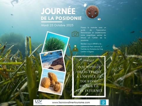 Journée de la posidonie