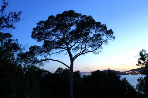Balade nocturne - Balade nocturne