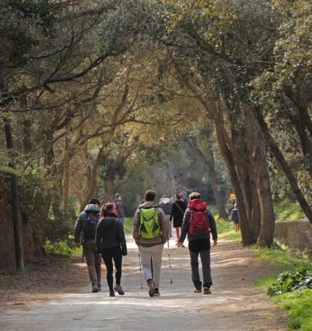 Randonneurs à Porquerolles - Randonneurs à Porquerolles