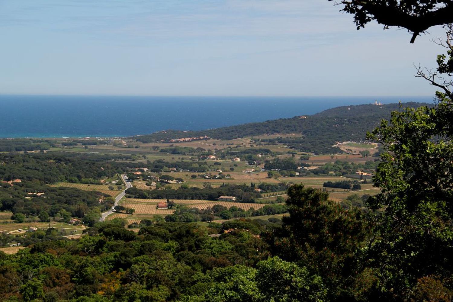 La plaine de Ramatuelle