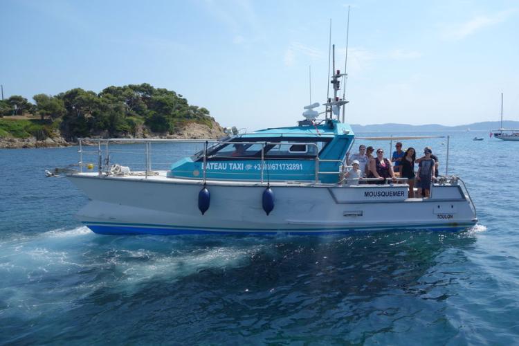 A la rencontre des dauphins et mammifère - A la rencontre des dauphins et mammifère