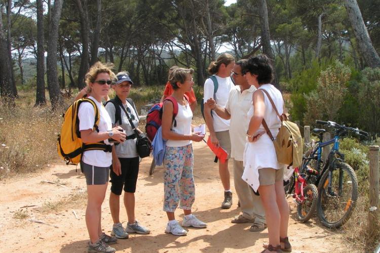 Balade à Porquerolles pour découvrir son histoire et les collections variétales - Balade à Porquerolles pour découvrir son histoire et les collections variétales