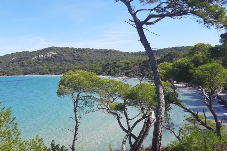 Image - Porquerolles