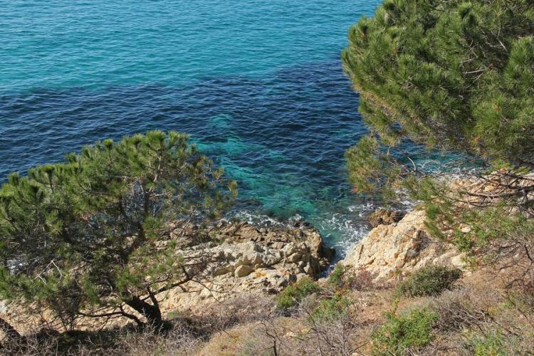 Vue plongeante depuis le sentier du littoral - Vue plongeante depuis le sentier du littoral