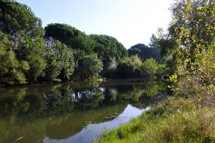 Image - Étangs de Sauvebonne © Pierre Remy