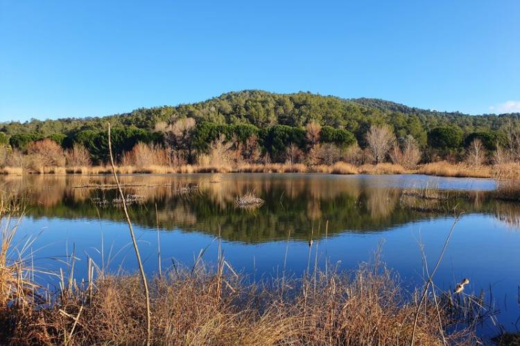 Etangs de la Sauvebonne à Hyères - Les étangs de la Sauvebonne, un refuge LPO Paca