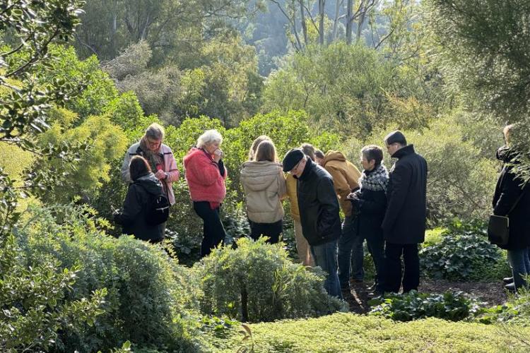 Visite thématique "Balade botanique au fil des saisons"_Rayol-Canadel-sur-Mer - Domaine du Rayol