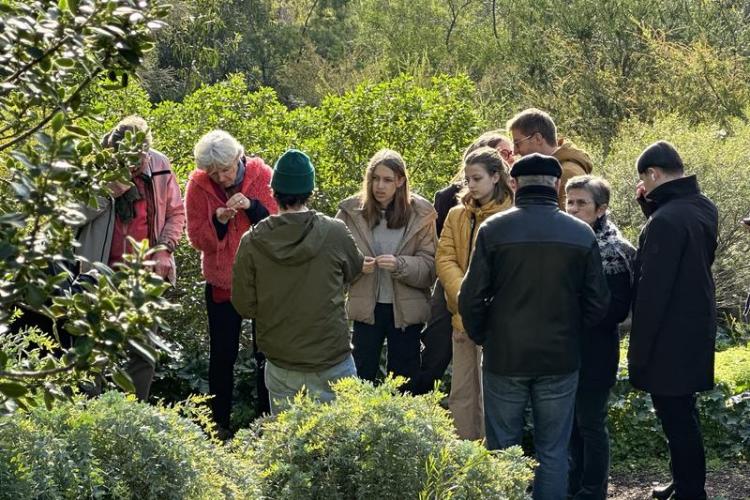 Visite thématique "Balade botanique au fil des saisons"_Rayol-Canadel-sur-Mer - Domaine du Rayol