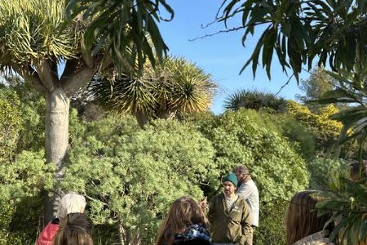 Visite thématique "Balade botanique au fil des saisons"_Rayol-Canadel-sur-Mer - Domaine du Rayol