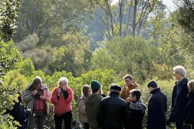 Visite thématique "Balade botanique au fil des saisons"_Rayol-Canadel-sur-Mer - Domaine du Rayol
