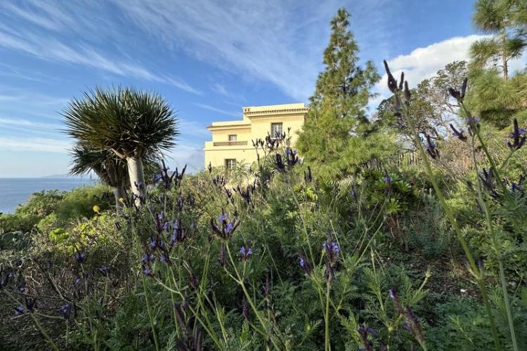 Visite thématique "Balade botanique au fil des saisons"_Rayol-Canadel-sur-Mer - Domaine du Rayol