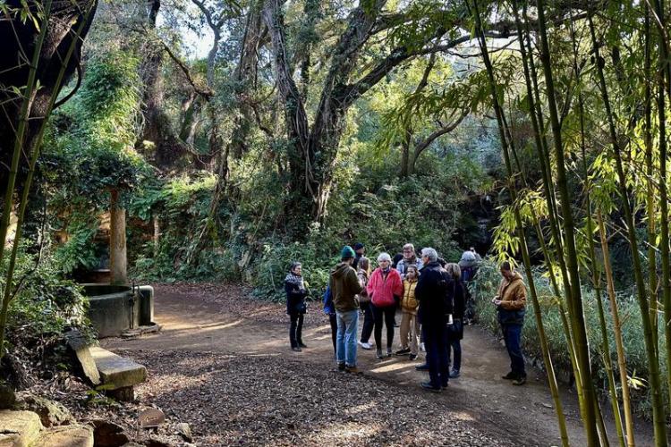 Visite thématique "Balade botanique au fil des saisons"_Rayol-Canadel-sur-Mer - Domaine du Rayol