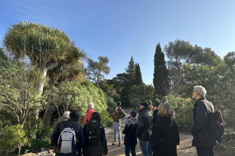 Visite thématique "Balade botanique au fil des saisons"_Rayol-Canadel-sur-Mer - Domaine du Rayol