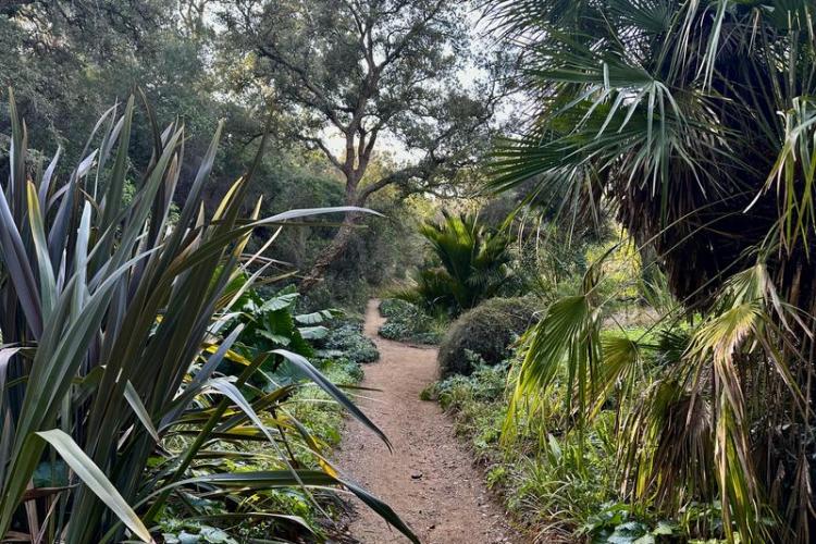 Visite thématique "Balade botanique au fil des saisons"_Rayol-Canadel-sur-Mer - Domaine du Rayol
