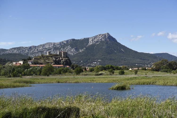 Espace Nature du Plan de La Garde - La zone humide
