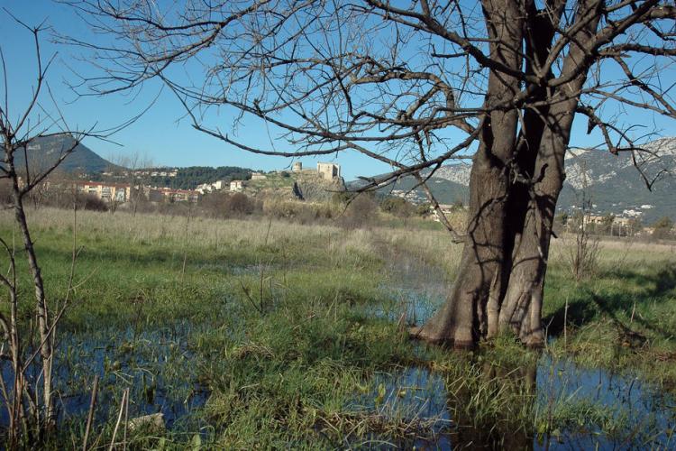 Espace Nature du Plan de La Garde - La zone humide