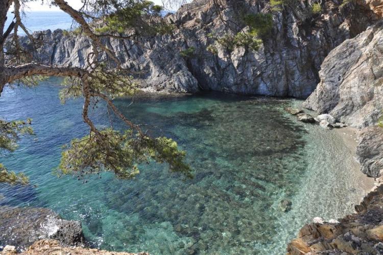 Balade randonnée sur le littoral de giens à la rencontre des oiseaux marins - Balade randonnée sur le littoral de giens à la rencontre des oiseaux marins