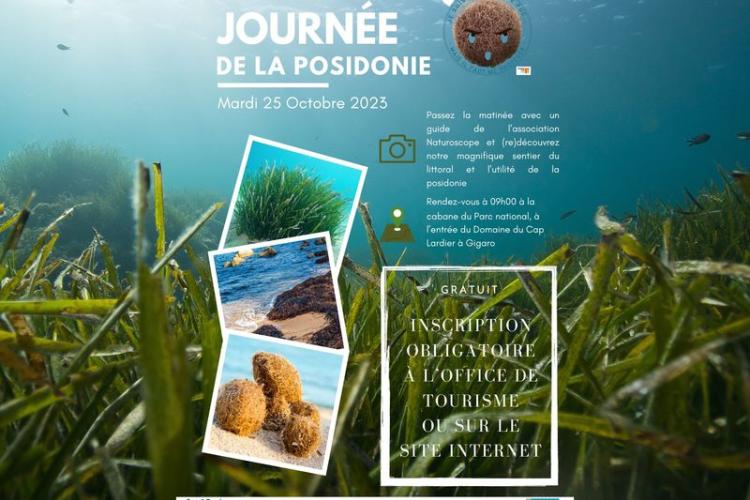 Journée de la posidonie