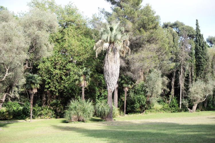La Villa Magdala - Hyères