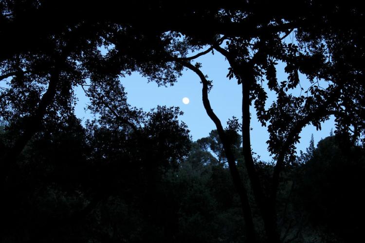 Balade nocturne - Balade nocturne