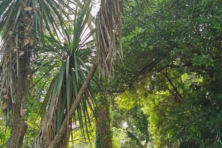 Domaine du Rayol - Balade botanique au fil des saisons