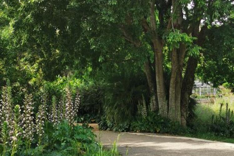 Domaine du Rayol - Balade botanique au fil des saisons