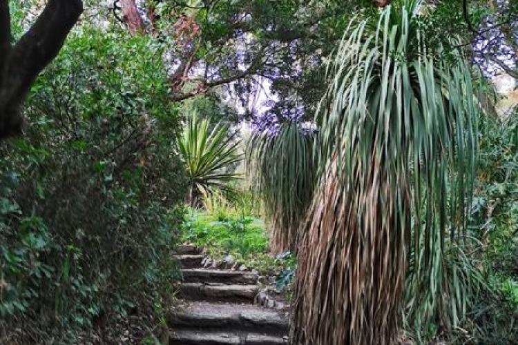 Domaine du Rayol - Balade botanique au fil des saisons
