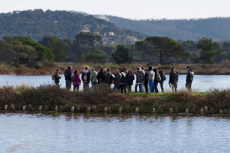 Balade randonnée sur le littoral des vieux salins à la rencontre des oiseaux marins - Balade randonnée sur le littoral des vieux salins à la rencontre des oiseaux marins