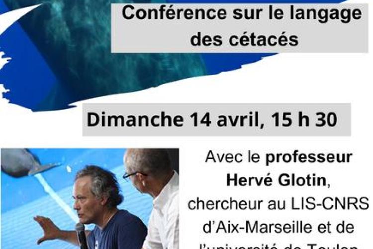 Conférence Hervé Glotin - Conférence Hervé Glotin