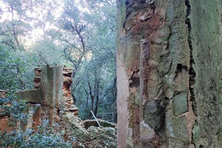 Ruines en forêt - Ruines en forêt