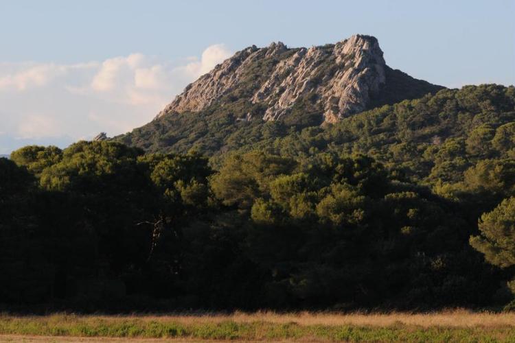 Point rencontre : Forêts méditerranéennes (Porquerolles)_Hyères - Chaînon des Mèdes
