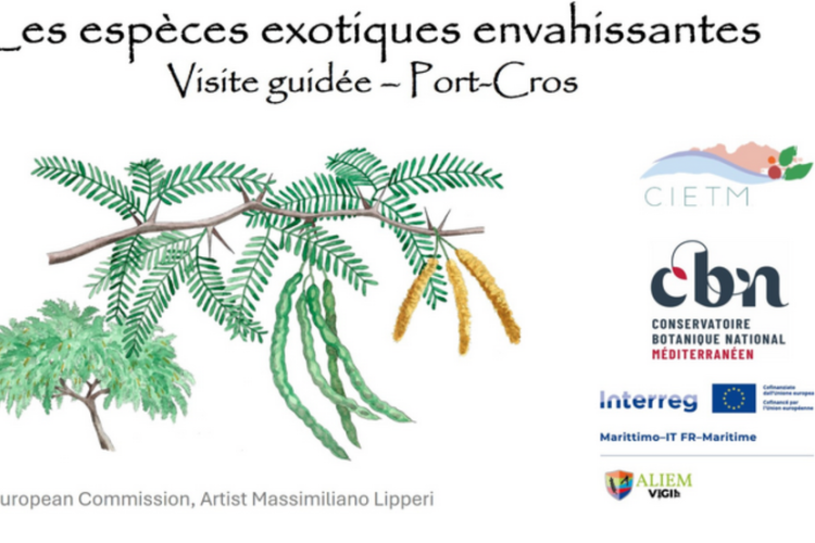 Balade nature Port-Cros : les trésors du Var menacés_Hyères